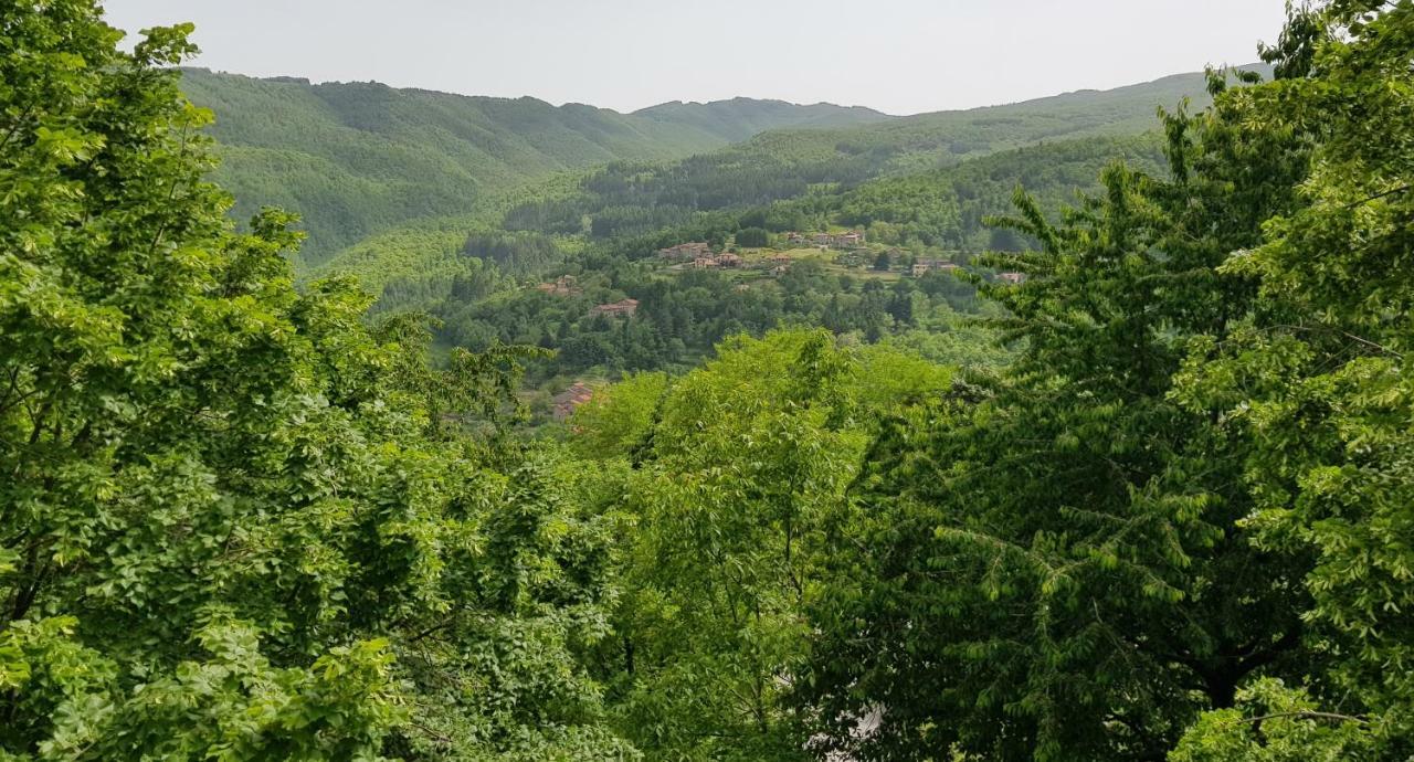Il Canto Del Fuoco Caiano Buitenkant foto